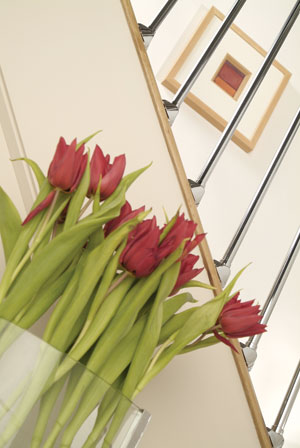 Axxys offer contemporary style
